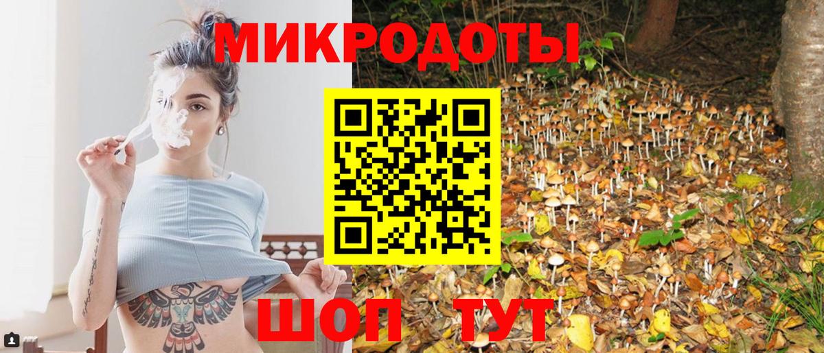 Псилоцибиновые грибы мухоморы  Вход с VPN  дарнет шоп  Заволжье 