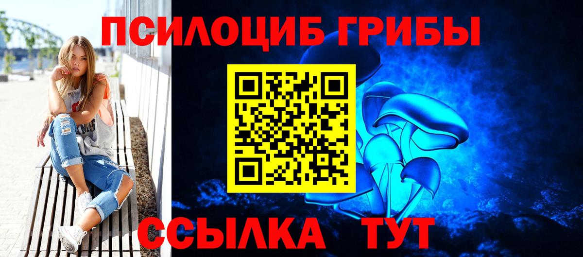 Галлюциногенные грибы мицелий Заволжье